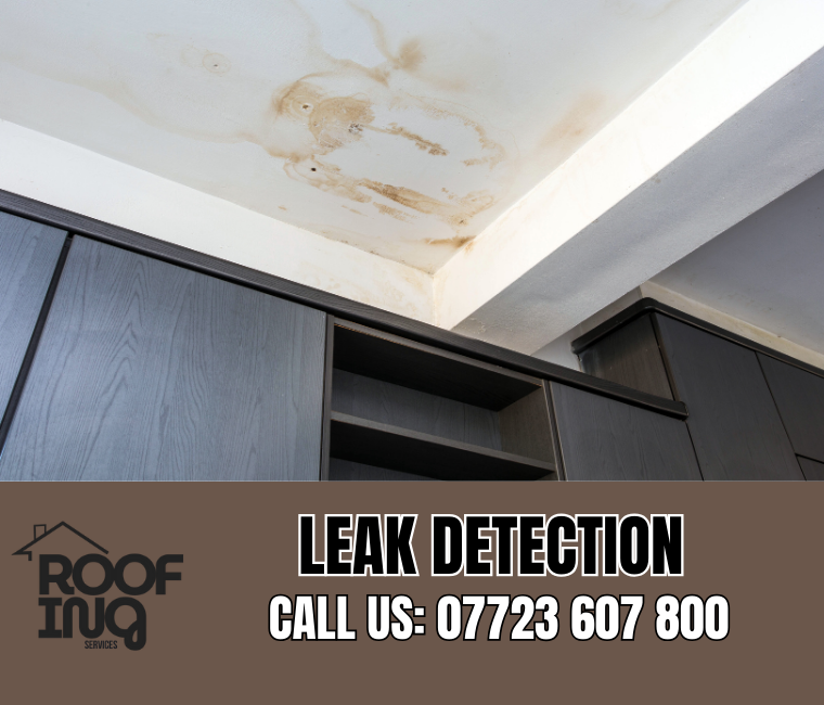Roof Leak Detection in Camelford