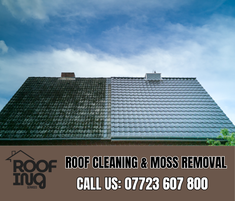 Roof cleaning and moss removal in Camelford